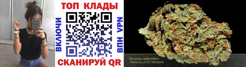 Где можно купить наркотики Волхов COCAIN БУТИРАТ Мефедрон Гашиш Псилоцибиновые грибы Бошки Шишки АМФ Альфа ПВП