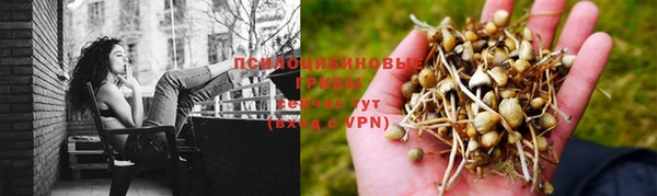 кокаин премиум Алексеевка