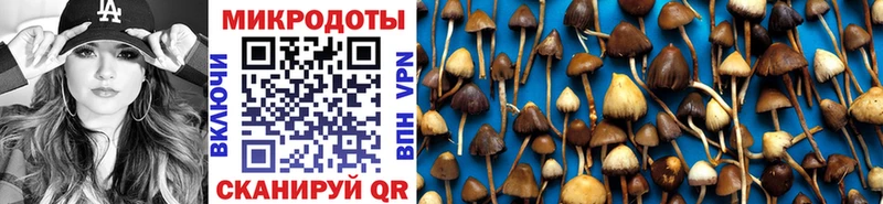 как найти закладки  Волхов  Псилоцибиновые грибы Magic Shrooms 